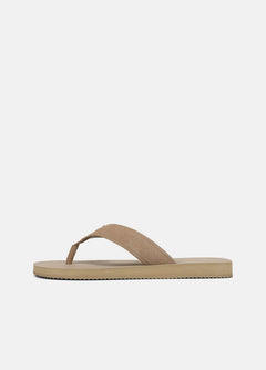 New Camel