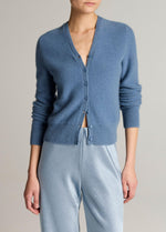 Plush Cashmere V-Neck Cardigan - US 5215